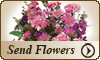 Send Flowers