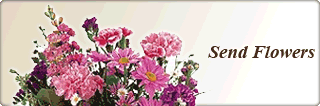 Send Flowers